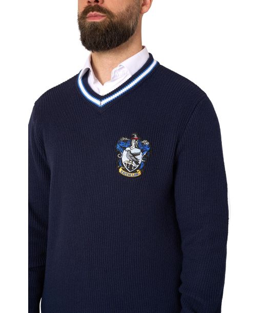 Rawenclaw sweater
