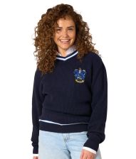 Rawenclaw sweater