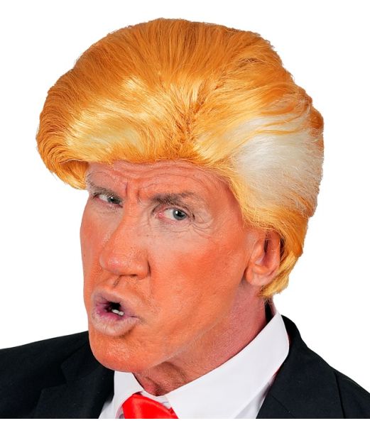 Præsident paryk