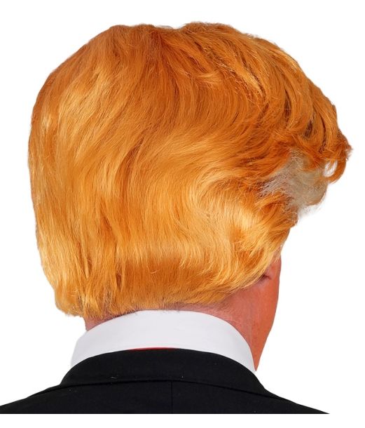 Præsident paryk