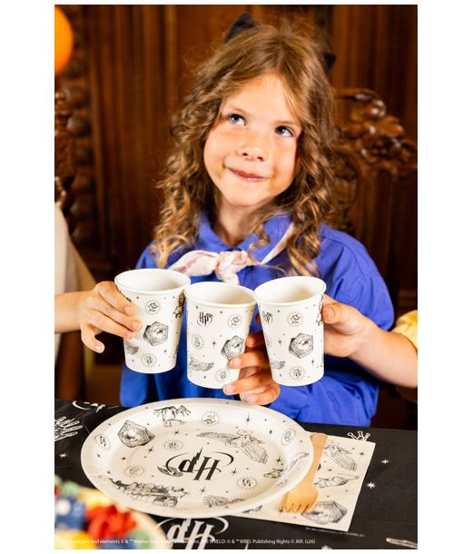 Harry Potter paptallerkner, beige 6 stk