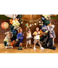 Harry Potter folieballoner – Nimbus 2000 og Det Gyldne Lyn