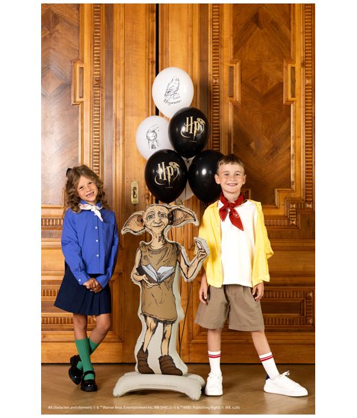 Harry Potter Dobby stående Folieballon, 105 cm