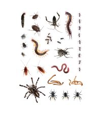 Krybende insekter tatoveringer