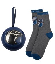 Harry Potter Ravenclaw julekugle med strømper